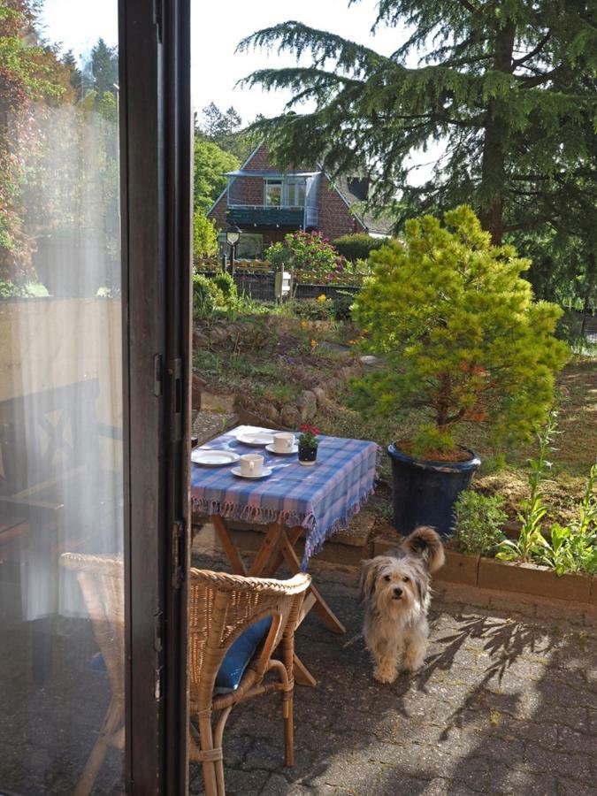 Ferienwohnung Am Waldrand, 希茨阿克 外观 照片